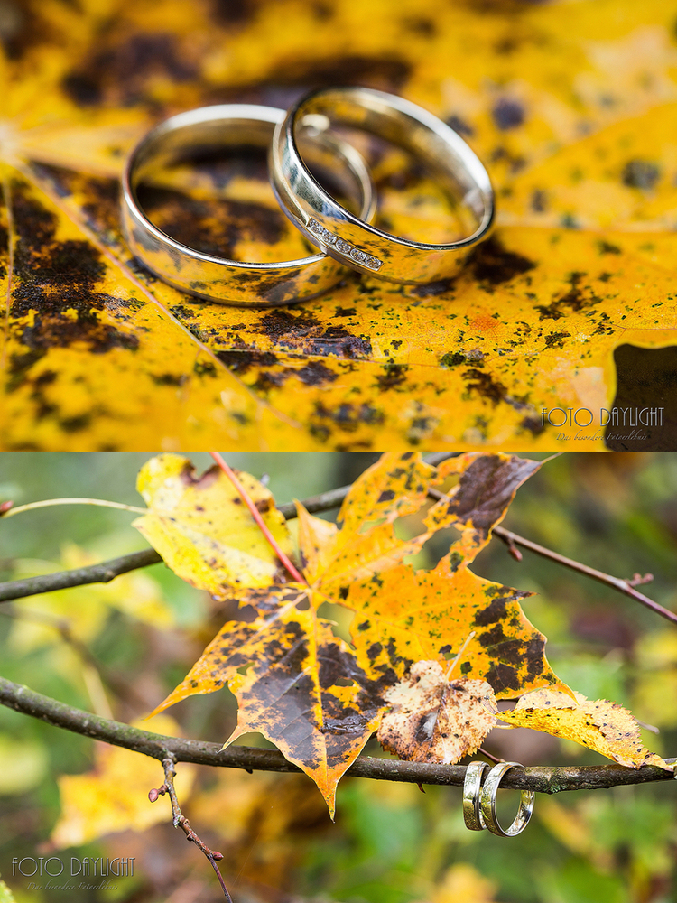 Hochzeitsreportage Landshut St. Martin, Hochzeitsfotograf Landshut, Hochzeitsfotograf Vilsbiburg, Standesamtreportage, Hochzeit Landshut, Hochzeit Vilsbiburg