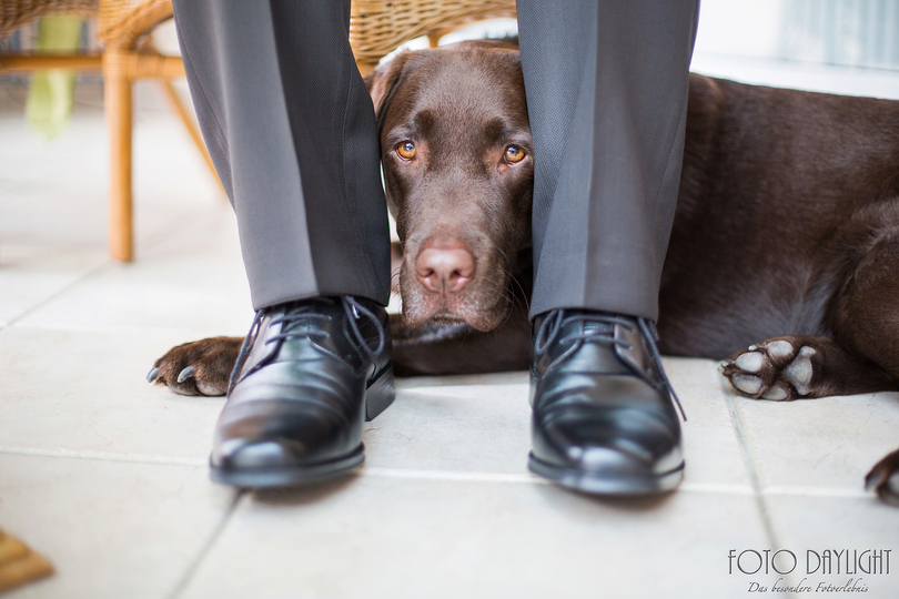 Hochzeitsreportage Landshut St. Martin, Hochzeitsfotograf Landshut, Hochzeitsfotograf Vilsbiburg, Standesamtreportage, Hochzeit Landshut, Hochzeit Vilsbiburg