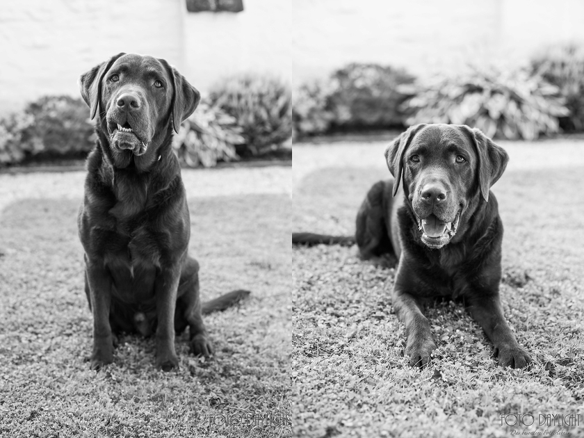 Hochzeitsreportage Landshut St. Martin, Hochzeitsfotograf Landshut, Hochzeitsfotograf Vilsbiburg, Standesamtreportage, Hochzeit Landshut, Hochzeit Vilsbiburg