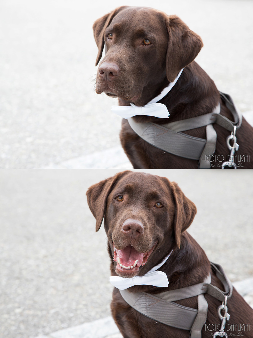 Hochzeitsreportage Landshut St. Martin, Hochzeitsfotograf Landshut, Hochzeitsfotograf Vilsbiburg, Standesamtreportage, Hochzeit Landshut, Hochzeit Vilsbiburg